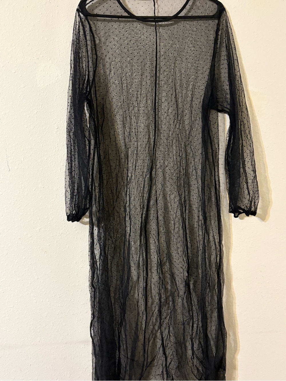 Source Unknown Black Sheer Polka Dot Long Sleeve Mesh Dress